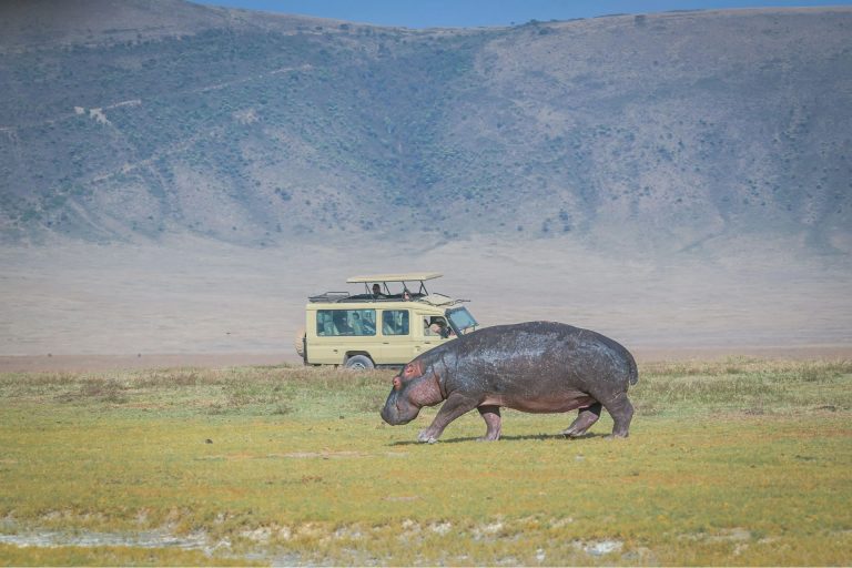 Ngorongoro Conservation Area