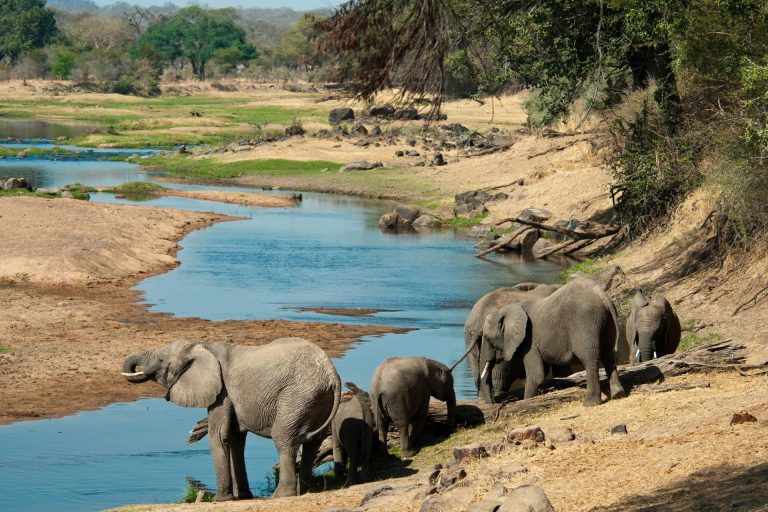 5 Days – Northern Tanzania Safari Highlights – Tarangire National Park, Ngorongoro Conservation Area, Lake Manyara National Park