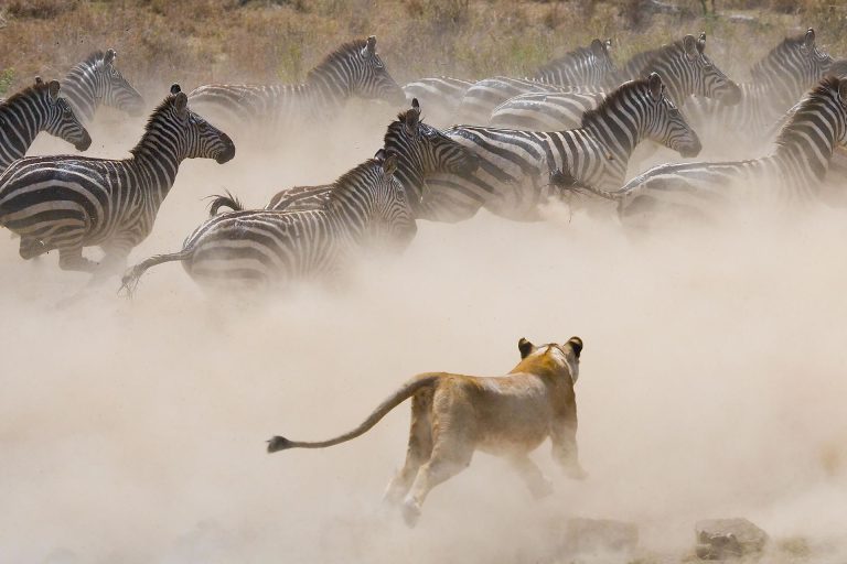 Serengeti National Park