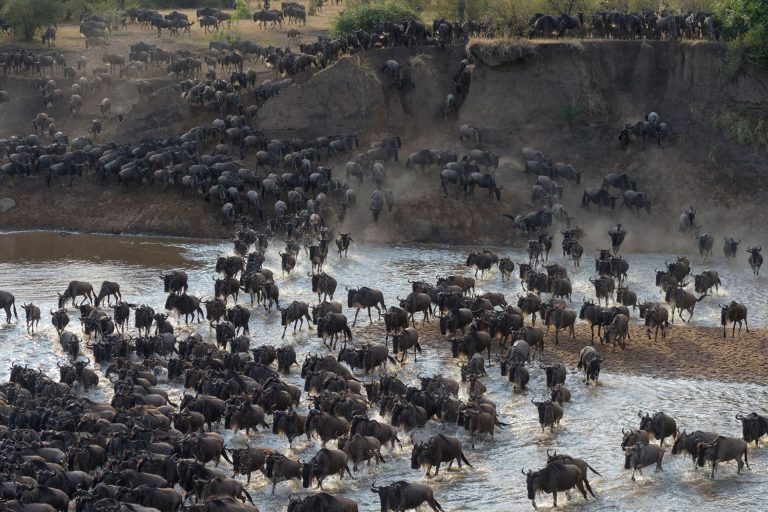 6 Days – Big Five Discovery Safari – Tarangire National Park, Serengeti National Park, Ngorongoro Conservation Area