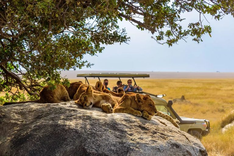 7 Days – Tanzania Safari & Culture Experience – Tarangire National Park, Lake Eyasi, Ngorongoro Conservation Area