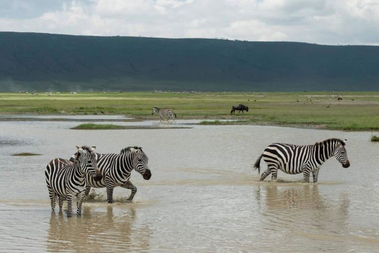 9 Days – Tanzania Adventure Circuit – Arusha National Park, Tarangire National Park, Lake Natron, Serengeti National Park