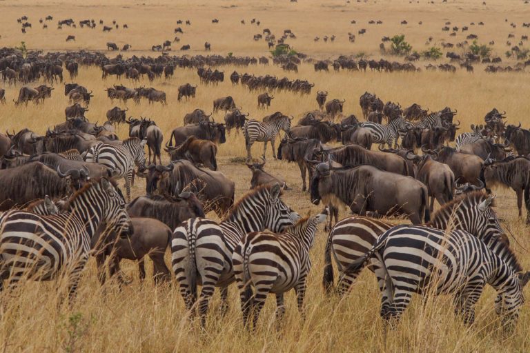 9 Days – Tanzania Photography Expedition – Tarangire National Park, Lake Natron, Serengeti National Park, Ngorongoro Conservation Area