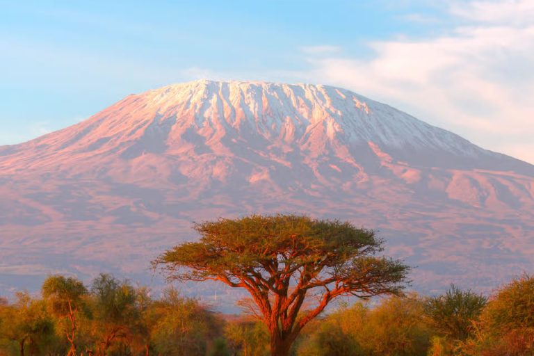 Kilimanjaro National Park